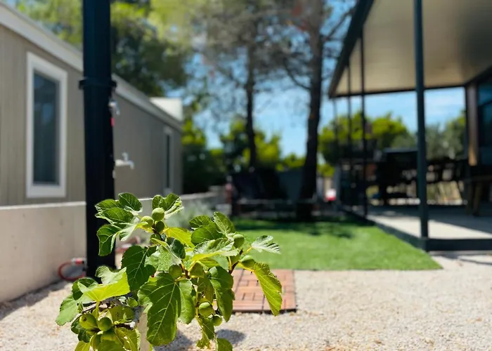 Дом отдыха House Olisander